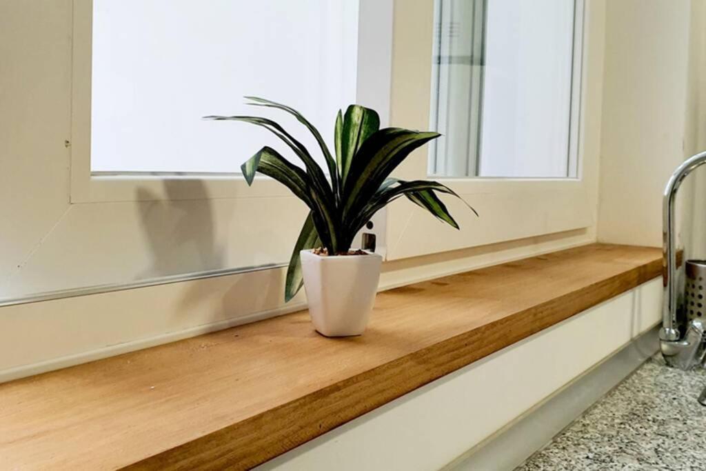 Apartamento Interior En Absoluto Centro En Algeciras 1º A Dış mekan fotoğraf